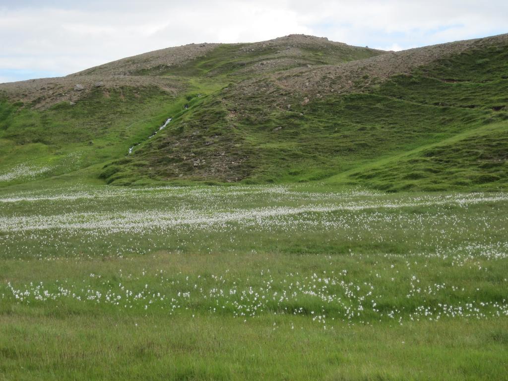 Guesthouse Gimbur Reykjarholl Exteriör bild
